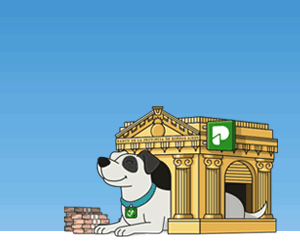 banco provincia plazo fijo