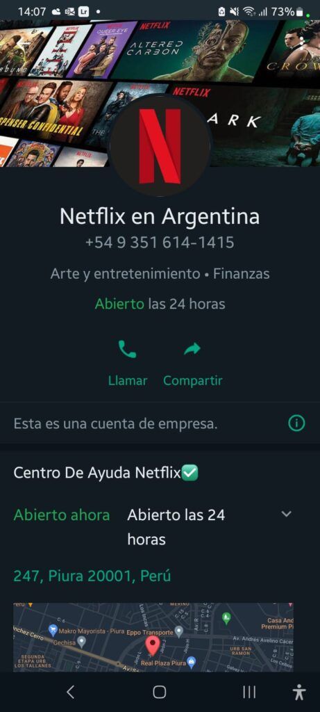 El perfil del uno de los números falsos WhatsApp de Netflix.