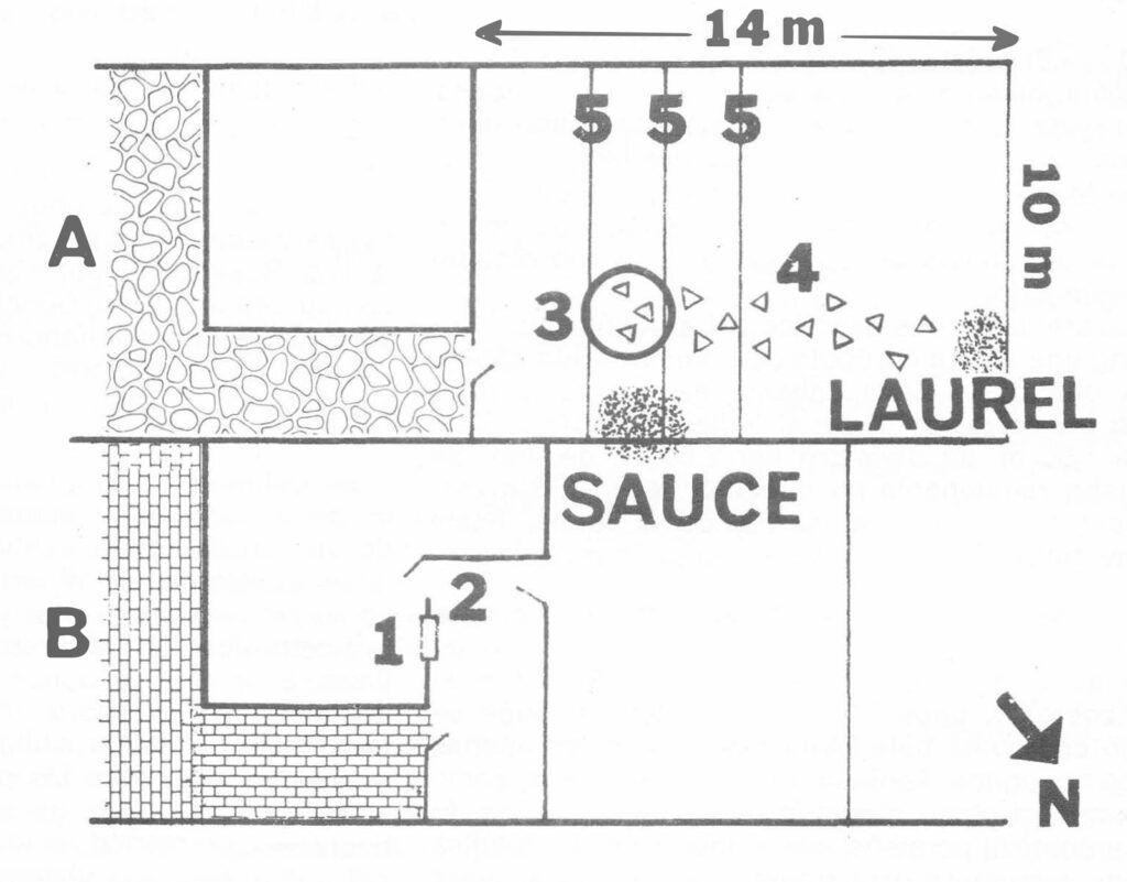 El plano de las casas con las marcas. Arriba, el patio de los Deluchi; abajo, el de Segura. (“Ovnis, un desafío a la ciencia” nº 10)