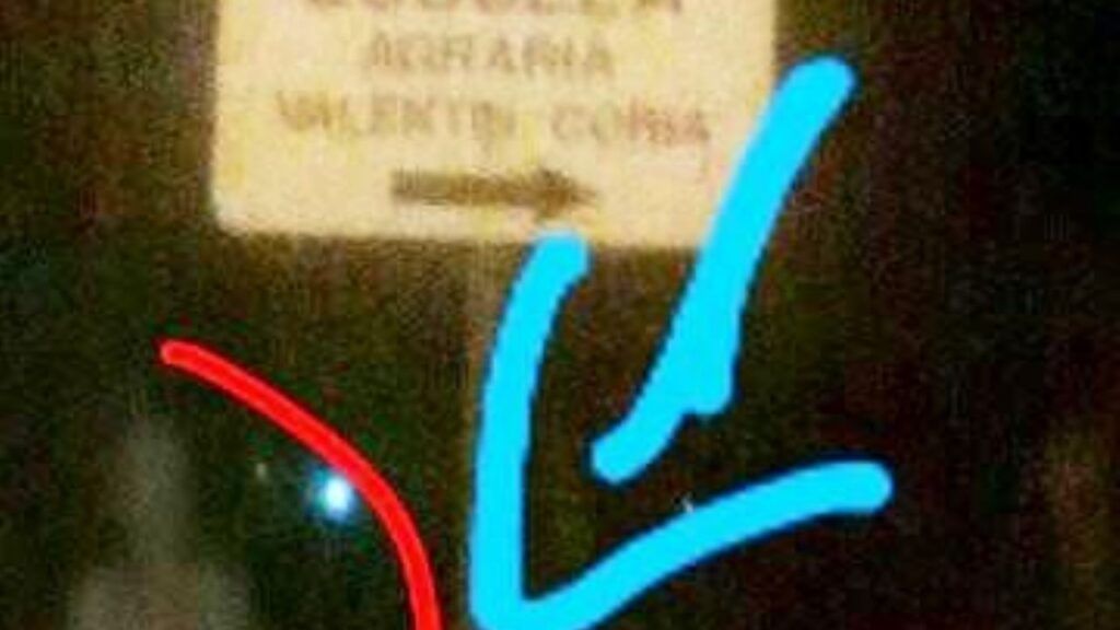 El fantasma junto al cartel de la Escuela Agraria. (La Razón de Chivilcoy)