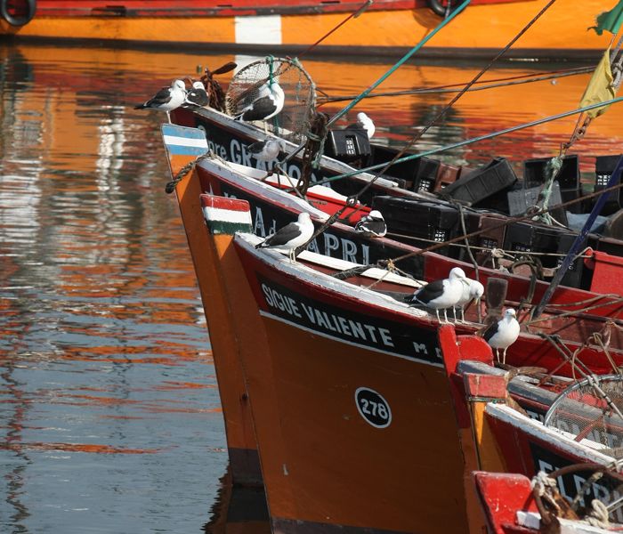El puerto marplatense, un cl&aacute;sico absoluto. (Turismo PBA)
