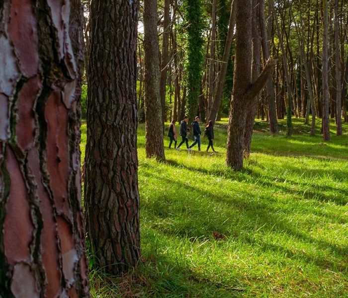El bosque energ&eacute;tico de Miramar. (Turismo PBA)