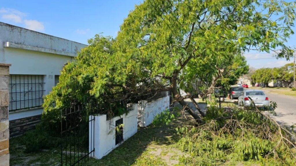 Temporal en Bah&iacute;a Blanca. - Rodrigo Garc&iacute;a / La Nueva -