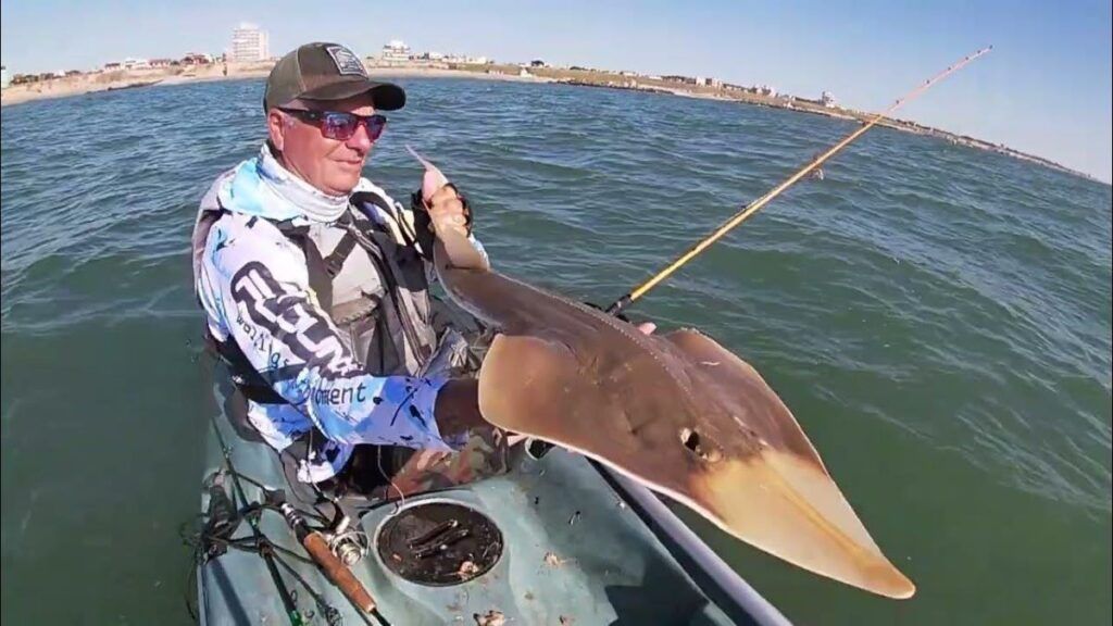 El melgacho, también llamado pez violín o guitarra. - Internet -
