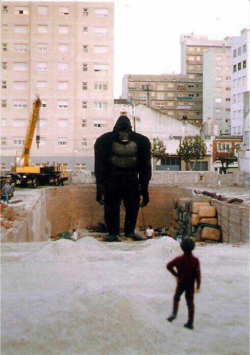 El muñeco de Kong en el pozo del ex Estadio Bristol. (Gentileza Fernando Soto Roland)