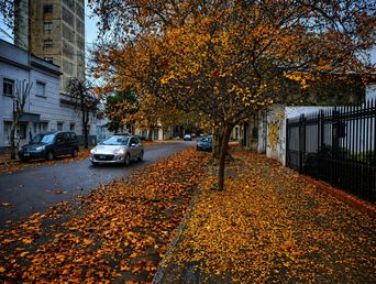 Con el otoño llegan los primeros fríos y las primeras preocupaciones.