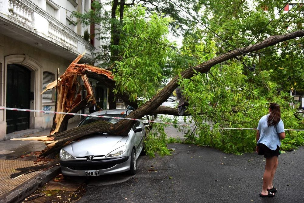 El viento y la lluvia castigaron a Mar del Plata.