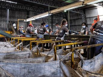 Los cursos presentados por la UNSAM y el Ministerio de Ambiente tendrán una duración de tres meses.