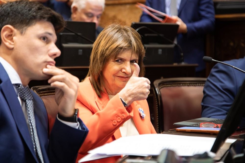 Patricia Bullrich, la jefa de los senadores de La Libertad Avanza.&nbsp;