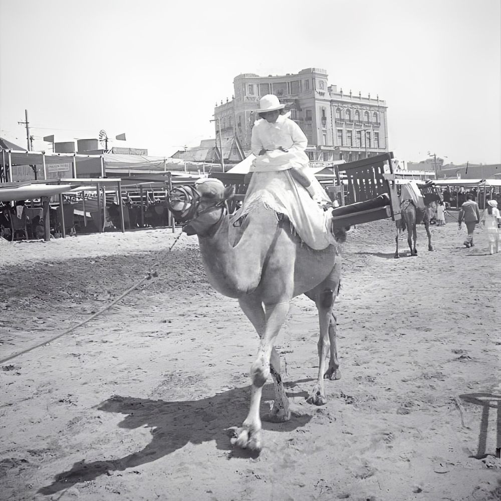 Una mujer en un paseo en camello. (Cultura de Mar del Plata)