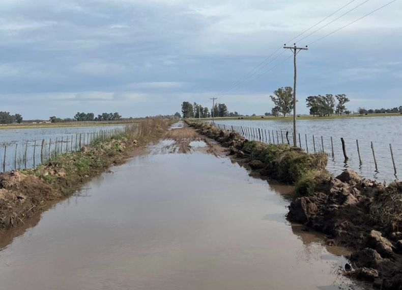 Un camino rural bonaerense bajo agua.&nbsp;
