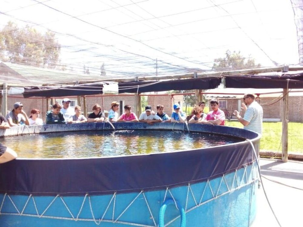 La Estación Hidrobiológica de Junín trabaja en la producción de pejerreyes. - La Verdad -