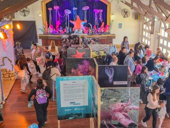 Más de 75 mil personas ya pasaron por la expo Vidas Submarinas.