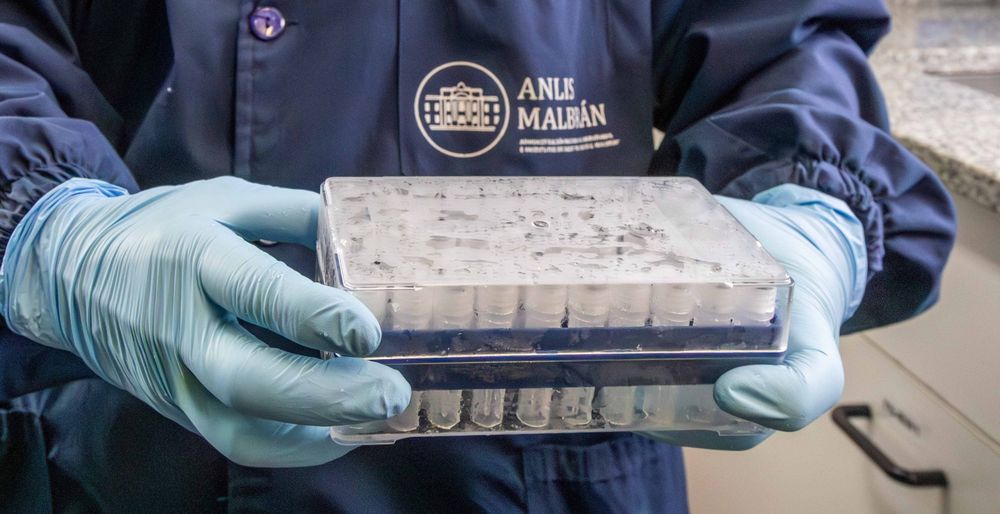 A través de ANLIS Malbrán, nuestro país envía material para hacer 2.500 pruebas a países que pueden tener casos de hantavirus.