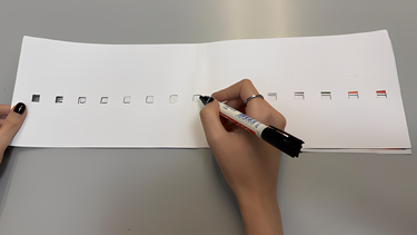 La plantilla para la BUP que pueden usar personas ciegas y con discapacidad visual.