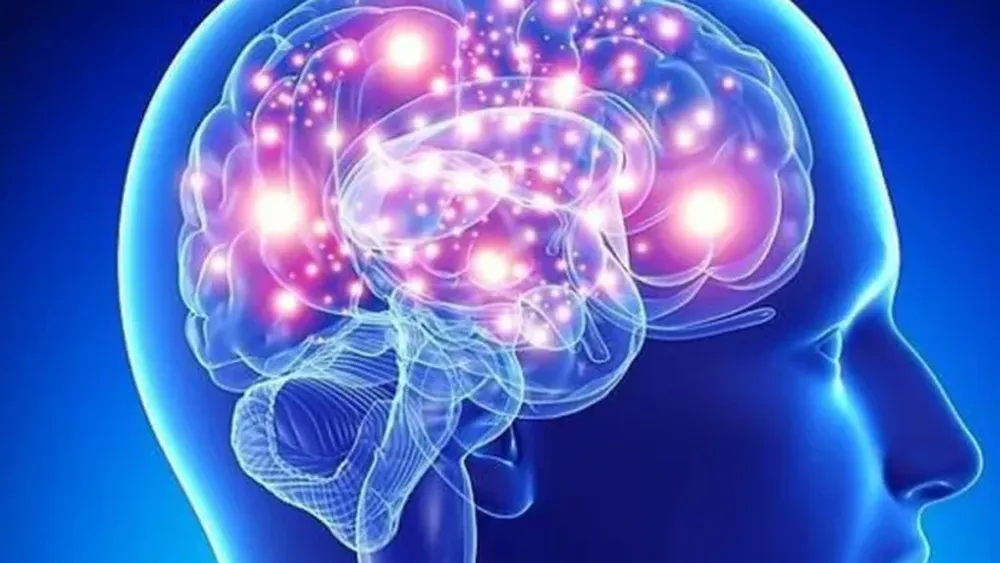 Un implante cerebral con IA permitió a un paciente sin habla comunicarse en inglés y español.