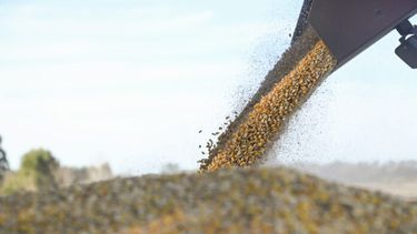 Novedades para el sector agropecuario.