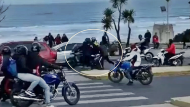Imagen del video del ataque piraña ocurrido en Mar del Plata.