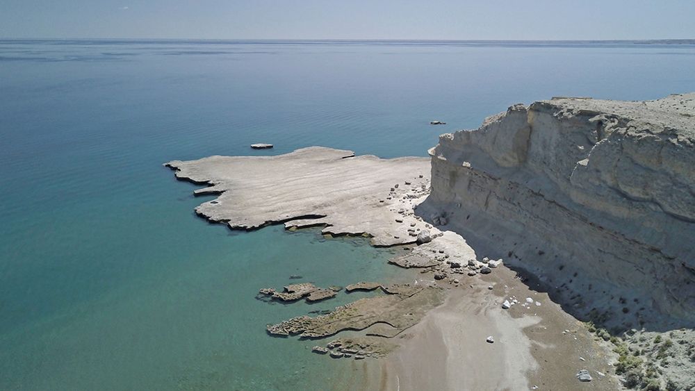 golfos norpatagonicos