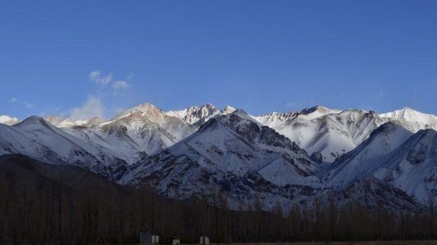 mendoza