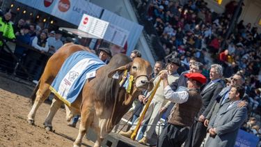 La Exposición Rural de Palermo se supera año tras año.