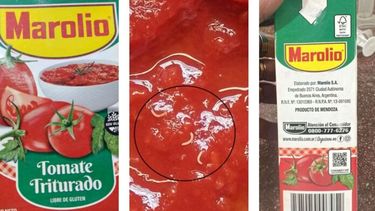 El tomate triturado en cuestión. (Anmat)