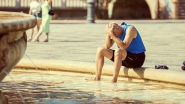 El calor excesivo afecta la producción y la morfología de los espermatozoides. (Archivo)