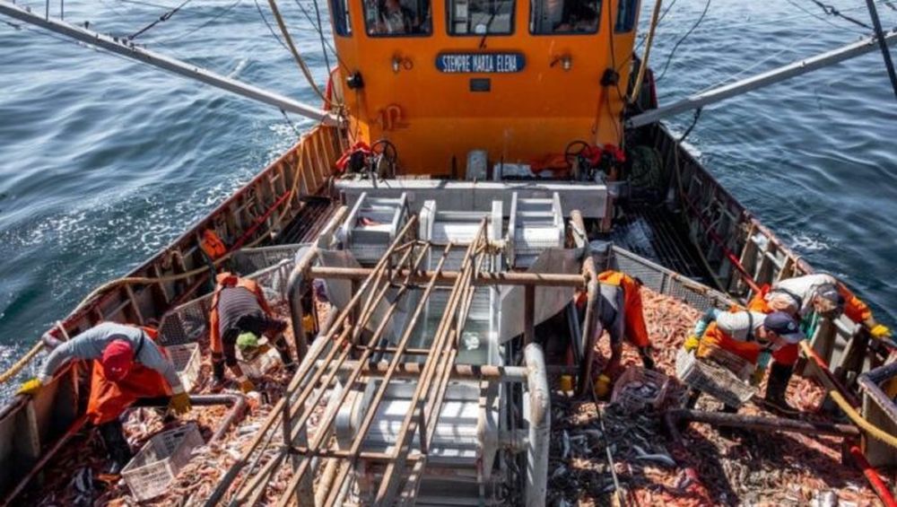 Los buques congeladores permanecen amarrados en los puertos. - La Capital -