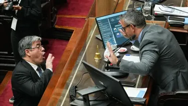 DIPUTADOS