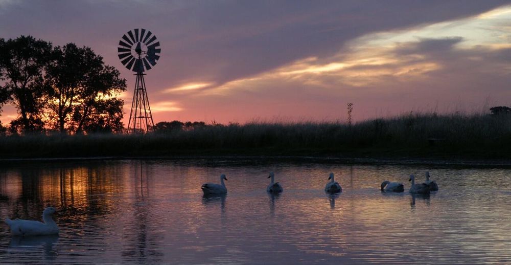 Una postal del turismo rural clásico de Pipinas. Una postal del turismo rural clásico de Pipinas.