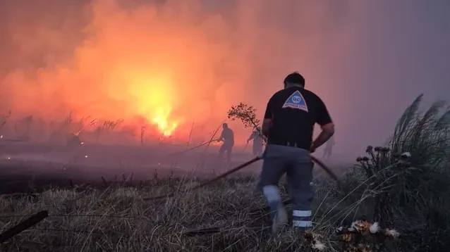 Mar del Plata: hay más de 200 hectáreas consumidas por incendios
