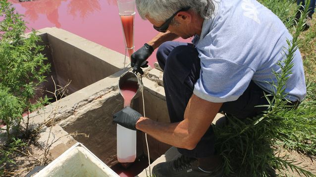 Un técnico de la Autoridad del Agua (ADA) toma muestras en una inspección al frigorífico en 2023.