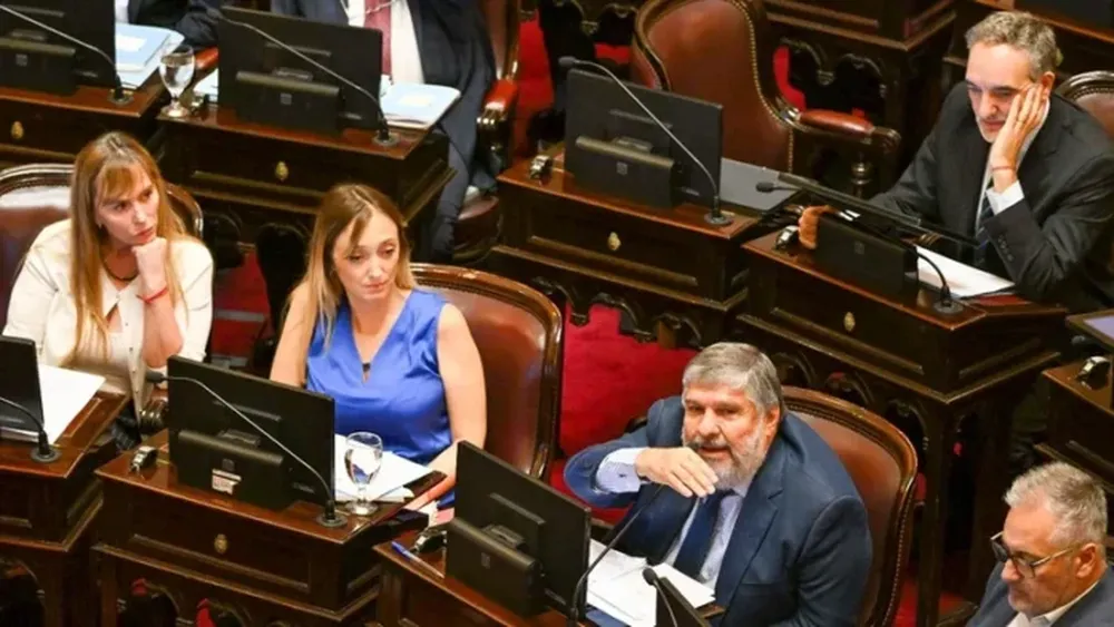 SENADO VOTO