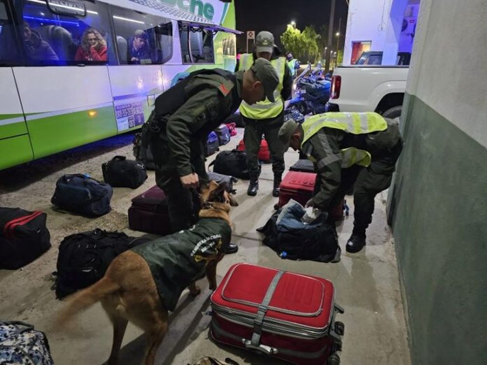El perro de Gendarmería buscando droga. (La Voz del Pueblo de Tres Arroyos)