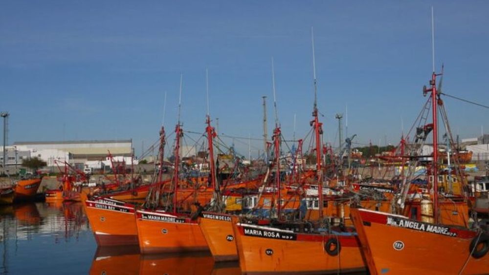 puerto mdp