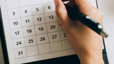 El calendario de este año.