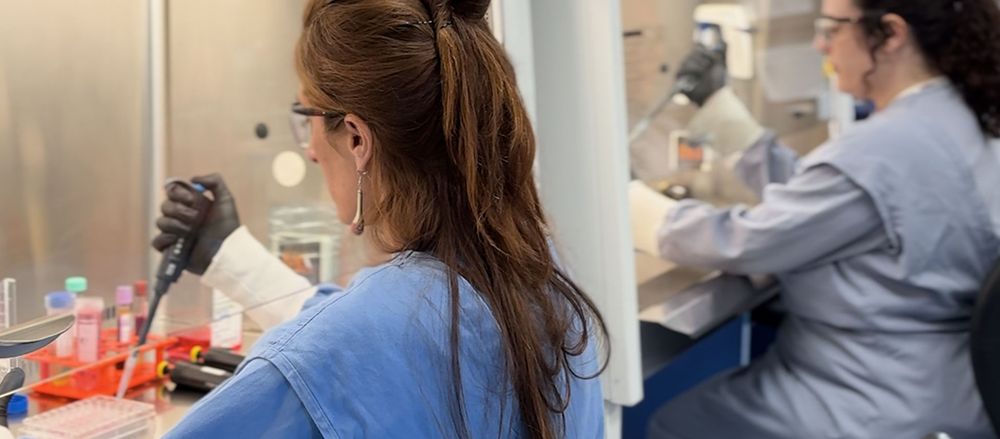 El diagnóstico temprano y el sostenimiento de los tratamientos con antibióticos son los dos ejes más importantes para bajar los contagios.&nbsp;