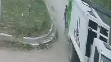 Perra atropellada por un camión recolector en Quequén. - Captura de video -