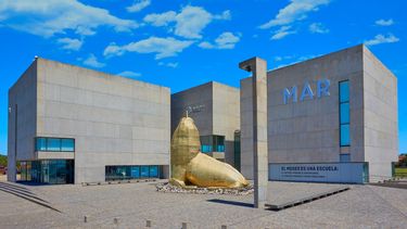 llega la muestra vidas submarinas al museo mar