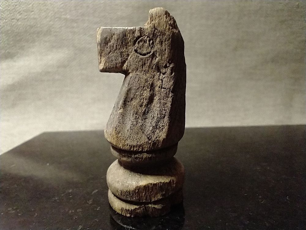 CABALLO DE AJEDREZ rs