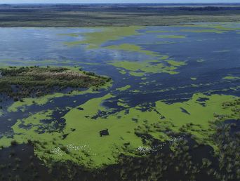 La magia del Delta bonaerense.&nbsp;