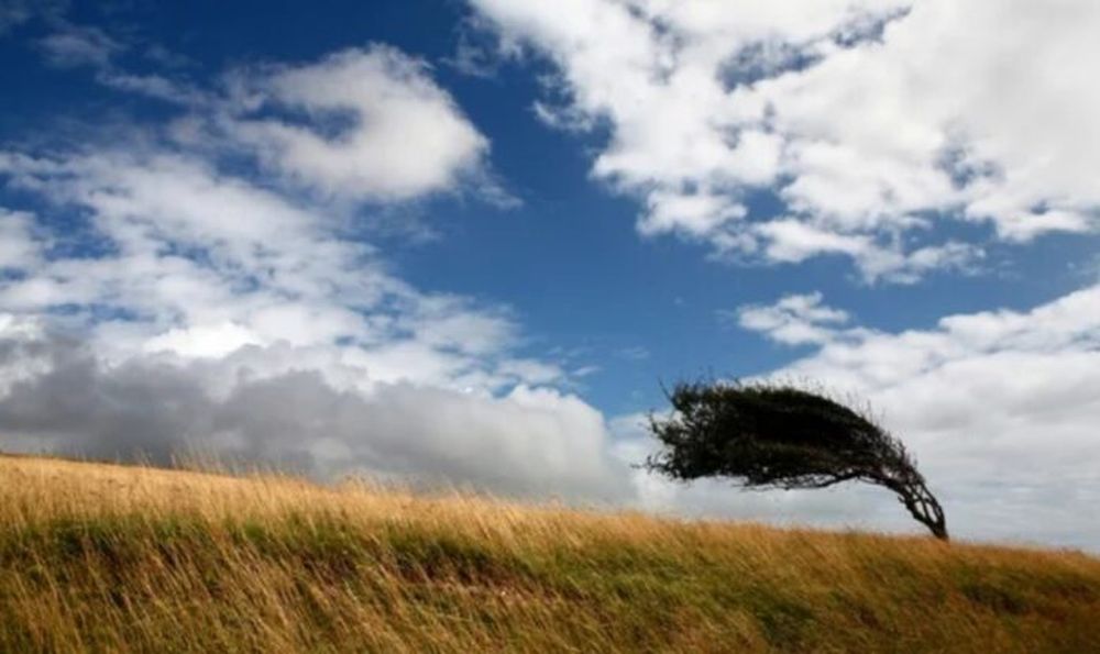 El oeste bonaerense, de norte a sur, se verá afectado por fuertes vientos del sector norte en las próximas horas.