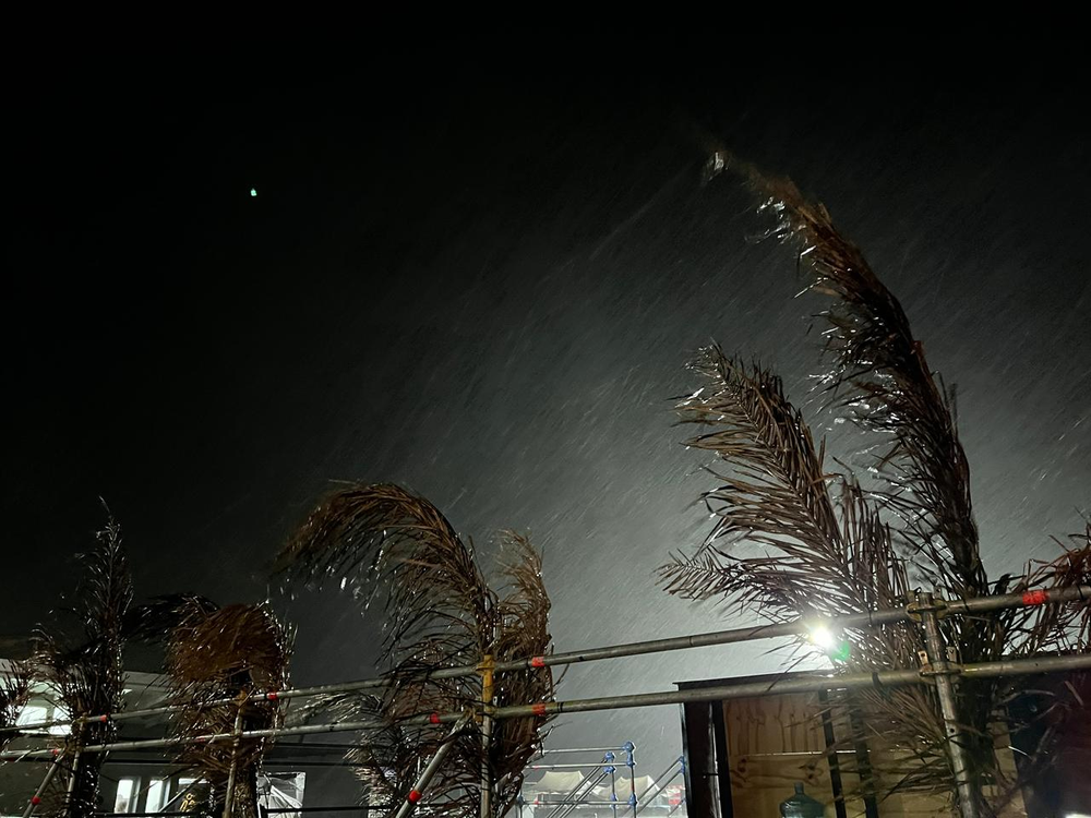 temporal san nicolás