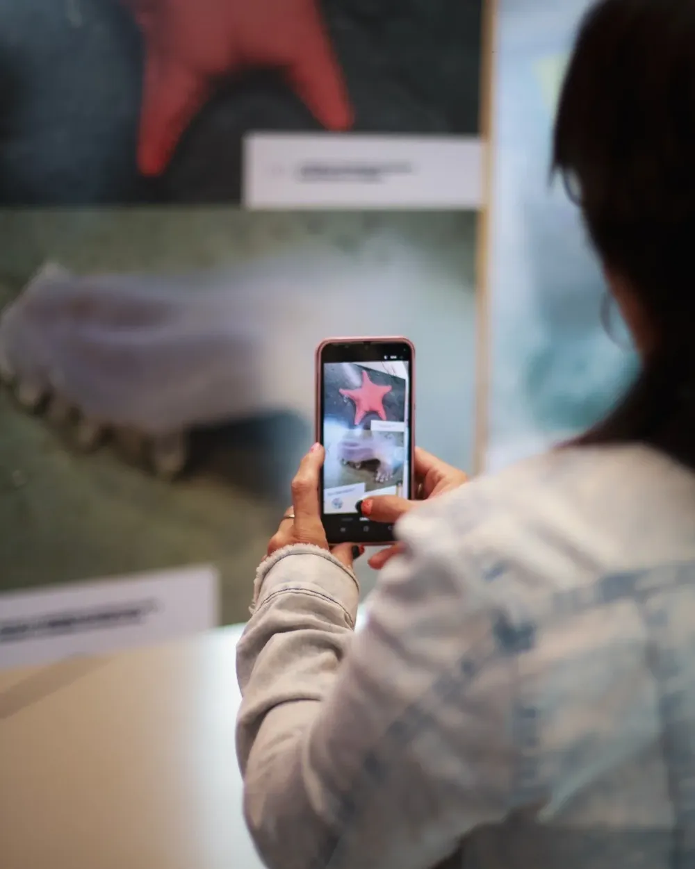 La muestra “Vidas submarinas: ciencia, arte y soberanía”, para disfrutar en familia.&nbsp;