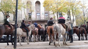 Decenas de jinetes se concentraron en el centro de la ciudad para reclamar contra el robo y faena de estos animales en General Pueyrredon. Aseguran que en el último año se produjo la desaparición de más de 100 animales en diferentes zonas rurales y semirrurales.