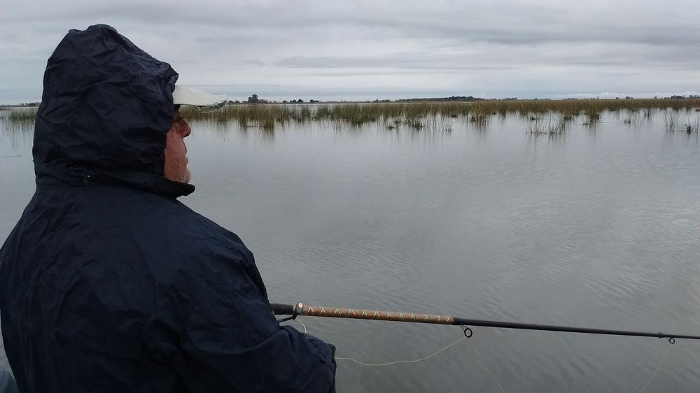 Veda para la pesca del pejerrey.