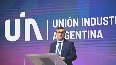 Martín Rappallini, titular de la Unión Industrial Argentina (UIA).&nbsp;
