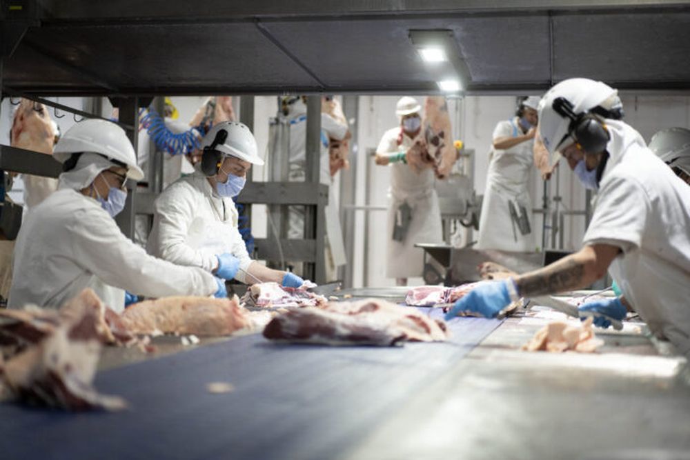 Desplome de la industrias manufactureras pyme en febrero. - Xinhua -