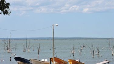 La laguna de Chasicó todavía muestra los árboles sumergidos que eran parte de la villa de Chapalcó. (Facebook “Todo un pueblo, ya lo ves”)