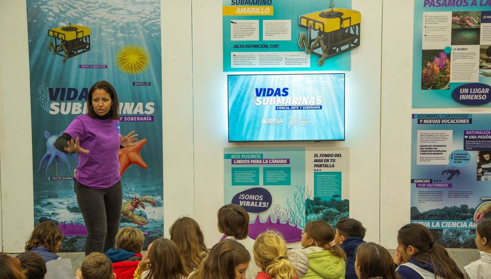 Vidas submarinas chicos RS (1)